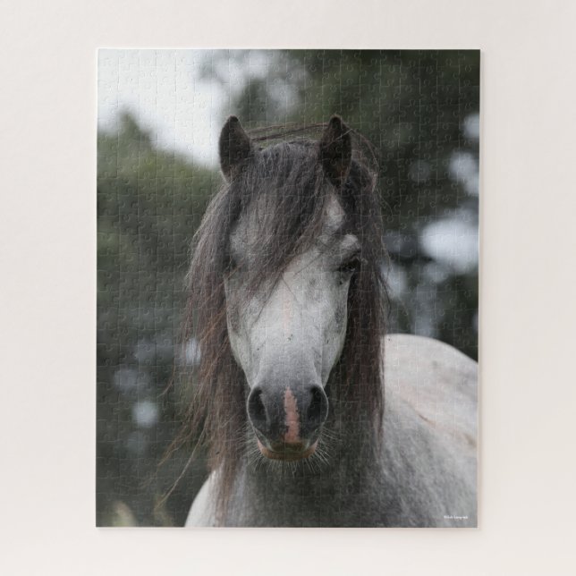 Bob Langrish | Grey Welsh Pony Headshot Jigsaw Puzzle (Vertical)
