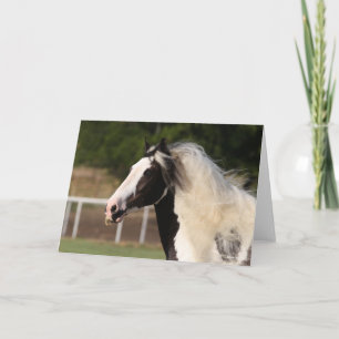 Bob Langrish   Gypsy Vanner Headshot Card