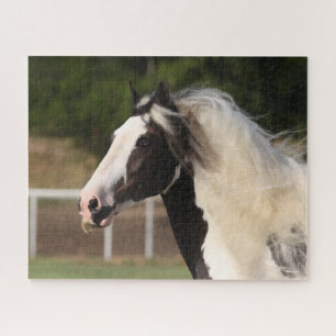Bob Langrish   Gypsy Vanner Headshot Jigsaw Puzzle