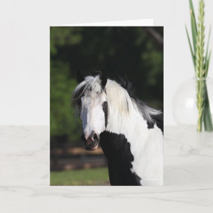 Bob Langrish Gypsy Vanner Horse Headshot Card