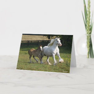 Bob Langrish Gypsy Vanner Horse Mare & Foal Card