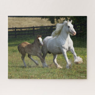 Bob Langrish Gypsy Vanner Horse Mare & Foal Jigsaw Puzzle