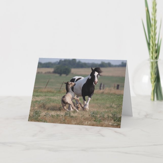 Bob Langrish | Gypsy Vanner Mare and Foal Card (Front)