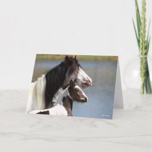 Bob Langrish   Gypsy Vanner Mare and Foal Headshot Card