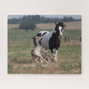 Bob Langrish   Gypsy Vanner Mare and Foal Jigsaw Puzzle