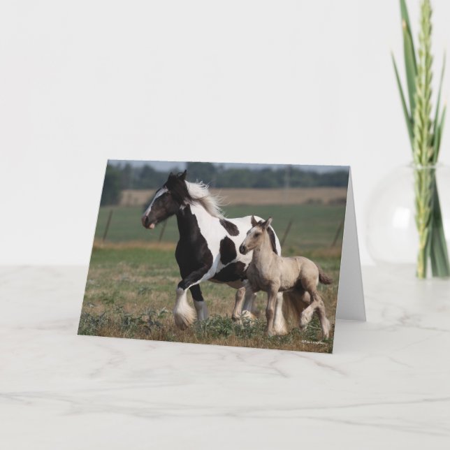 Bob Langrish | Gypsy Vanner Mare and Foal Running Card (Front)