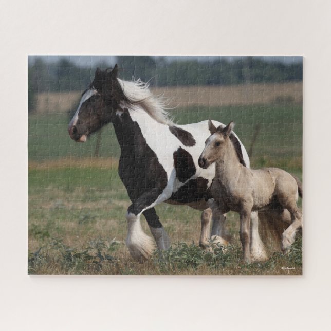 Bob Langrish | Gypsy Vanner Mare and Foal Running Jigsaw Puzzle (Horizontal)