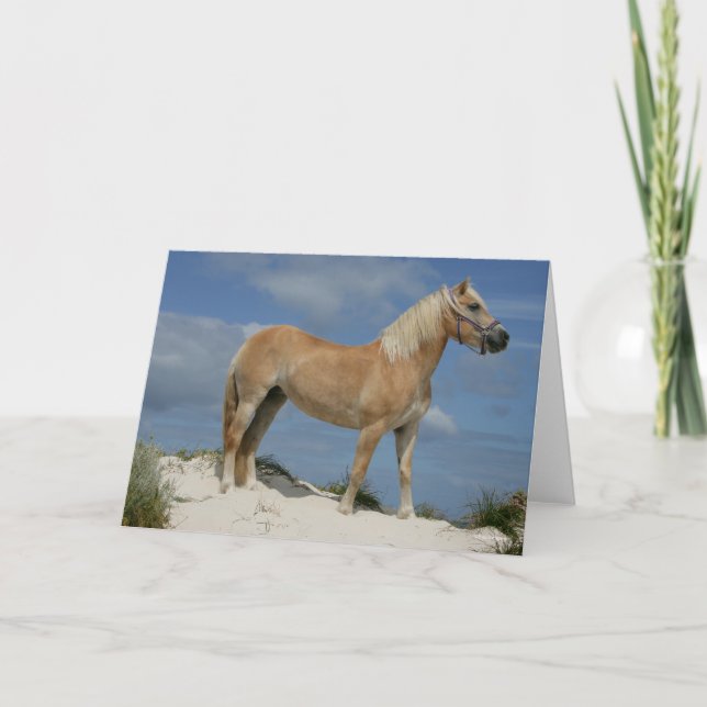 Bob Langrish | Haflinger Standing On The Beach Card (Front)