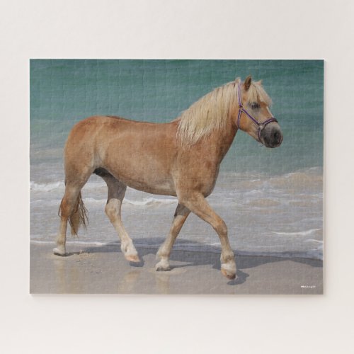 Bob Langrish  Haflinger Walking On The Beach Jigsaw Puzzle