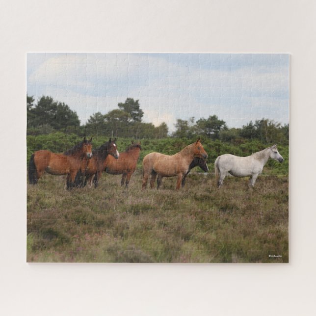 Bob Langrish | Herd New Forest Ponies Standing Jigsaw Puzzle (Horizontal)