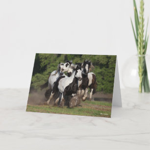 Bob Langrish Herd Of Gypsy Vanner Horses Running Card