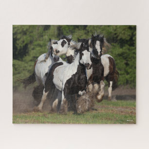 Bob Langrish Herd Of Gypsy Vanner Horses Running Jigsaw Puzzle