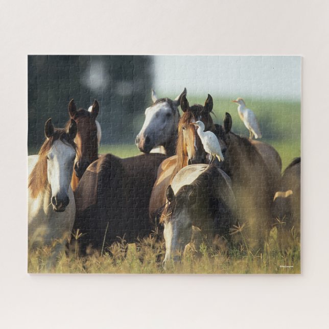 Bob Langrish | Herd Of Horses Standing With Birds Jigsaw Puzzle (Horizontal)