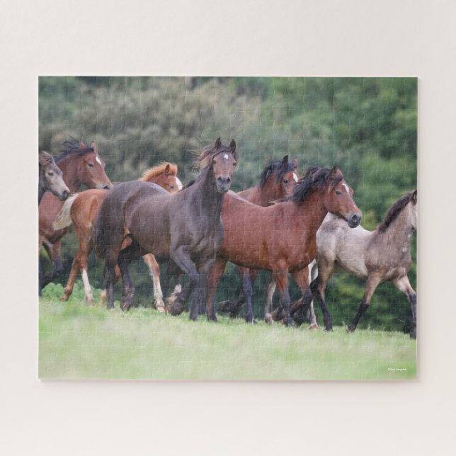 Bob Langrish | Herd of Welsh Ponies In Field Jigsaw Puzzle (Horizontal)