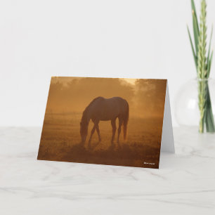 Bob Langrish Horse Grazing Sunrise Card