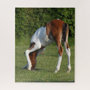 Bob Langrish   Irish Sport Horse Foal Grazing Jigsaw Puzzle