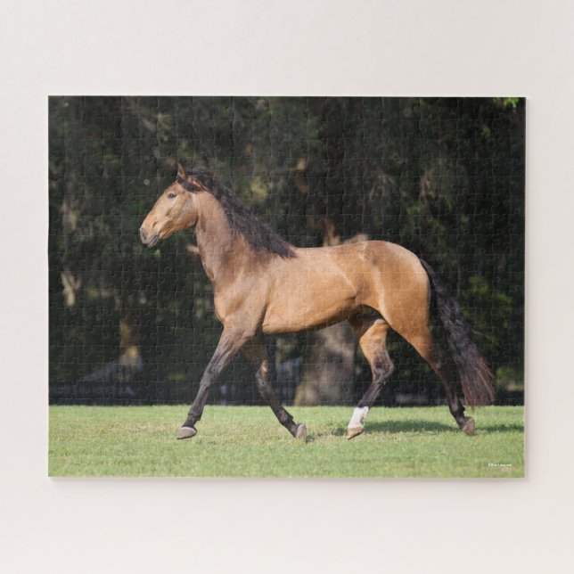 Bob Langrish | Light Bay Lusitano Running Jigsaw Puzzle (Horizontal)