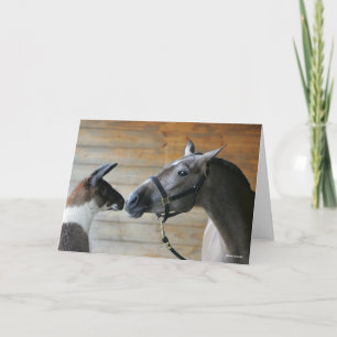 Bob Langrish Llama and Andalucian Meeting Headshot Card