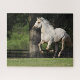 Bob Langrish Lusitano Horse Running Jigsaw Puzzle