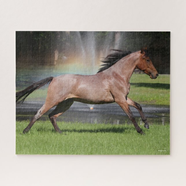 Bob Langrish | Mangalarga Horse Running Rainbow Jigsaw Puzzle (Horizontal)