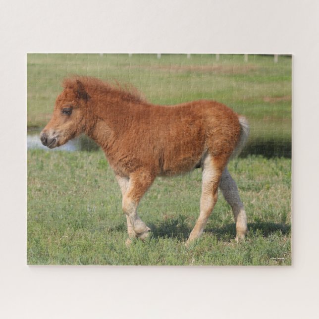 Bob Langrish | Miniature Foal Walking Jigsaw Puzzle (Horizontal)