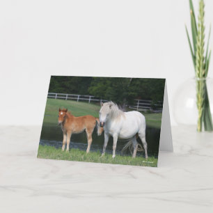 Bob Langrish Miniature Pony Mare and Foal Standing Card