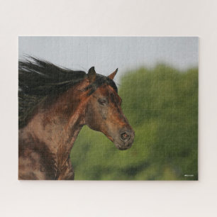 Bob Langrish Morgan Horse Headshot Flowing Mane Jigsaw Puzzle