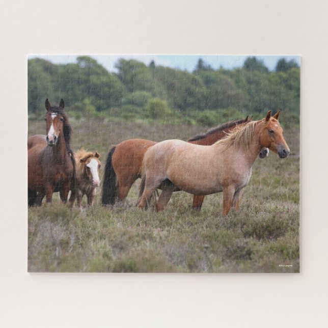 Bob Langrish | New Forest Ponies and Foal Jigsaw Puzzle (Horizontal)