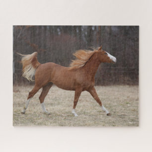 Bob Langrish Overo Paint Horse Running Jigsaw Puzzle
