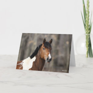 Bob Langrish   Paint Horse headshot Card