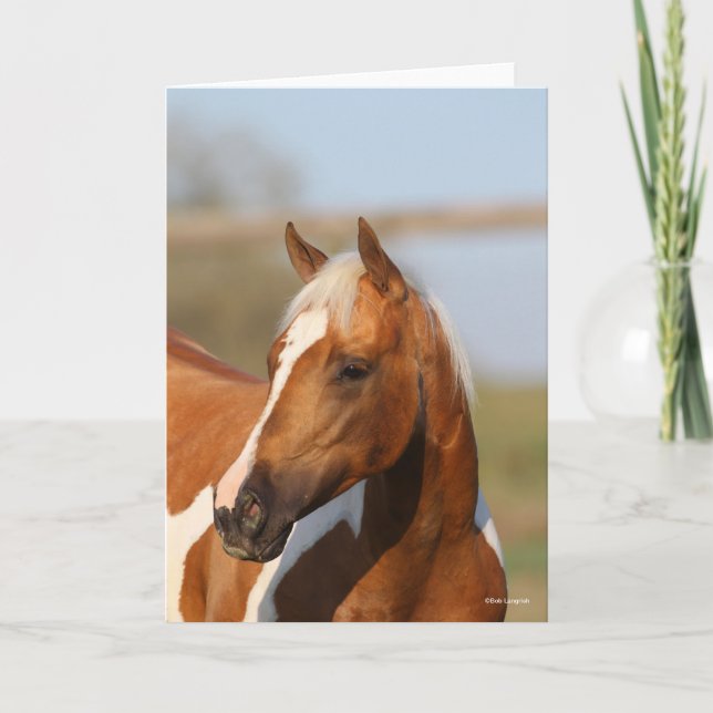 Bob Langrish | Paint Horse headshot Card (Front)