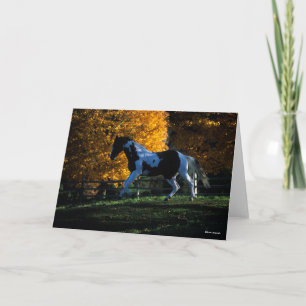 Bob Langrish Paint Horse Running Autumn Card