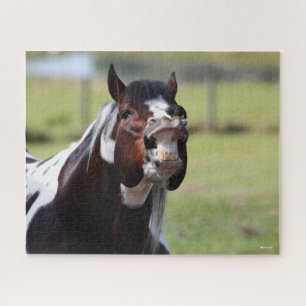 Bob Langrish Paint Horse Stallion Flehmen Jigsaw Puzzle