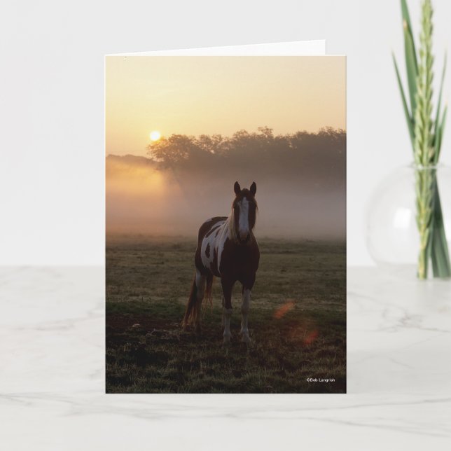 Bob Langrish | Paint Horse Standing Mist Sunrise Card (Front)