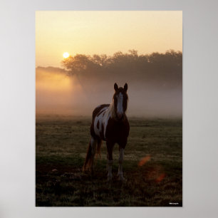 Bob Langrish Paint Horse Standing Mist Sunrise Poster