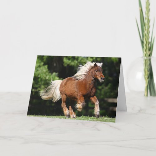 Bob Langrish  Palomino Miniature Pony Running Card