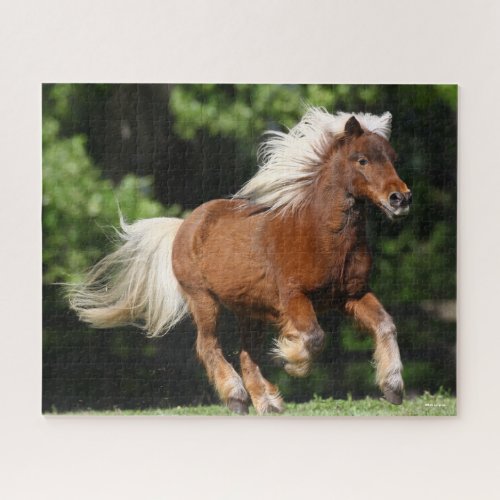 Bob Langrish  Palomino Miniature Pony Running Jigsaw Puzzle