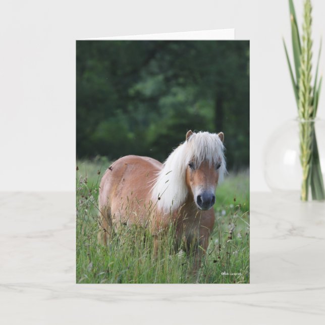 Bob Langrish | Palomino Shetland Standing In Grass Card (Front)