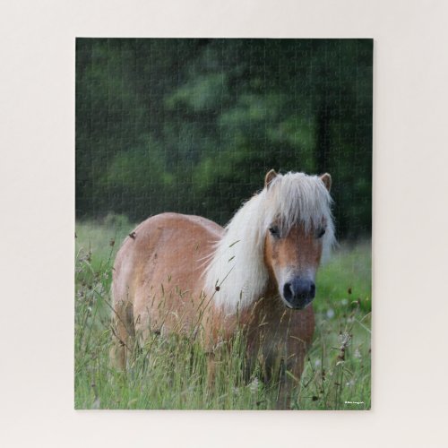 Bob Langrish  Palomino Shetland Standing In Grass Jigsaw Puzzle