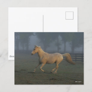 Bob Langrish Palomino Tennessee Walker in Mist Postcard