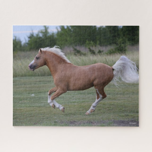 Bob Langrish | Palomino Welsh Pony Running Jigsaw Puzzle (Horizontal)
