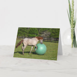 Bob Langrish Paso Fino Horse Playing With Ball Card