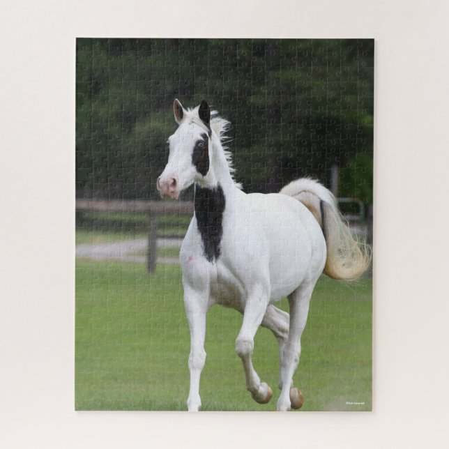Bob Langrish | Pinto Warmblood Jigsaw Puzzle (Vertical)