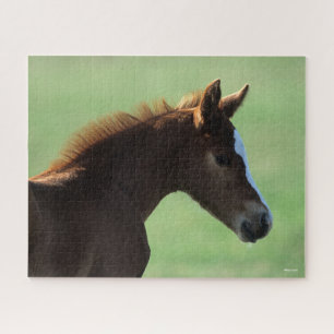 Bob Langrish Quarter Horse Foal Backlit Jigsaw Puzzle