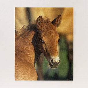 Bob Langrish Quarter Horse Foal headshot Jigsaw Puzzle