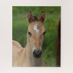 Bob Langrish Quarter Horse Foal Headshot Jigsaw Puzzle