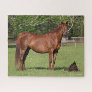 Bob Langrish Quarter Horse Mare and Foal Standing Jigsaw Puzzle