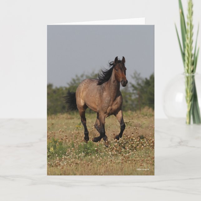 Bob Langrish | Quarter Horse Running In Flowers Card (Front)