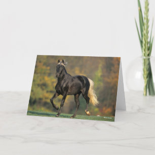 Bob Langrish Rocky Mountain Horse Autumn Card