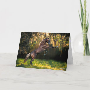 Bob Langrish Rocky Mountain Horse Rearing Card